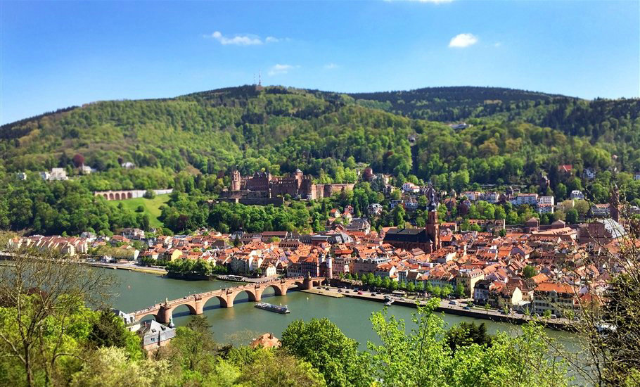 ¹,ѧ¹,ѵ¹ǩ֤¹̿