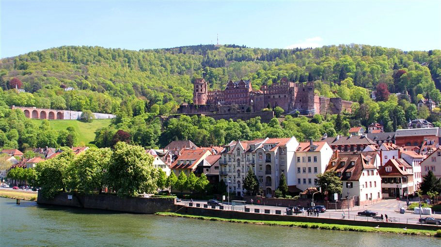 ¹ѧ,¹,¹,ѧ¹,ѵ¹ǩ֤