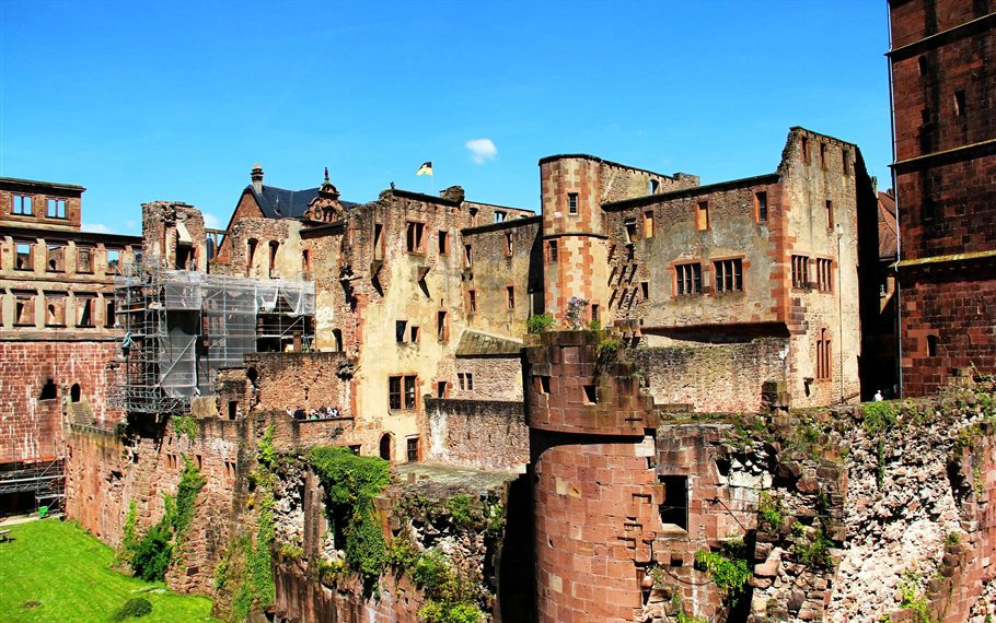 ¹ѧ,¹,¹,ѧ¹,ѵ¹ǩ֤