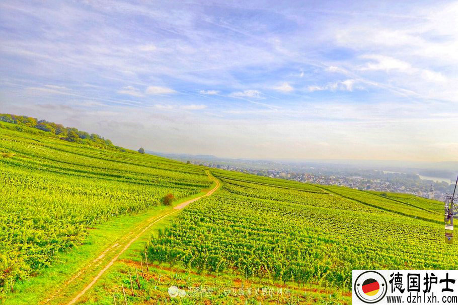 ¹ѧ,¹,¹,ѧ¹,ѵ¹ǩ֤