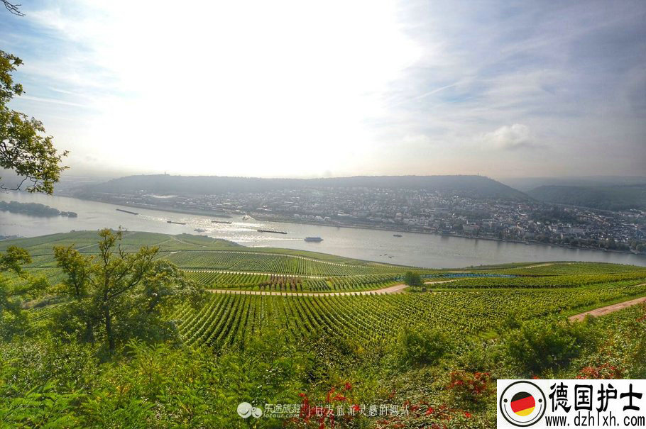 ¹ѧ,¹,¹,ѧ¹,ѵ¹ǩ֤