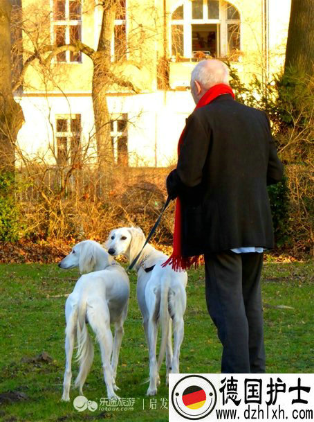 ¹ѧ,¹,¹,ѧ¹,ѵ¹ǩ֤