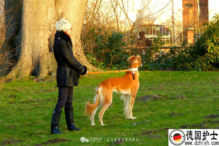 ¹ѧ,¹,¹,ѧ¹,ѵ¹ǩ֤