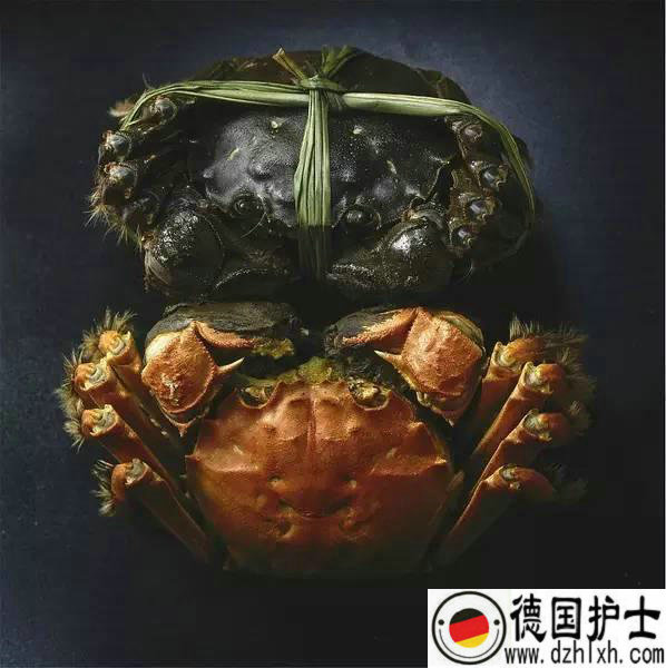 德国网,德国移民,德国留学,