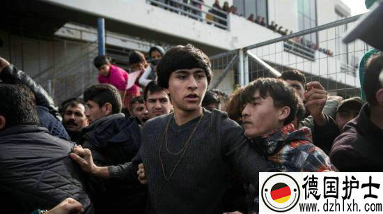 德国网,德国移民,德国留学,