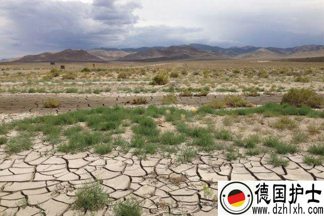 美国加州宣布进入紧急状态