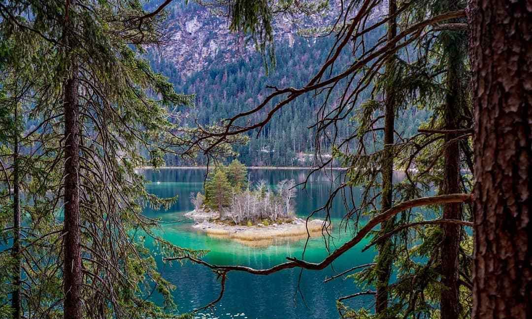 �¹�����Ȼ���������ʷ