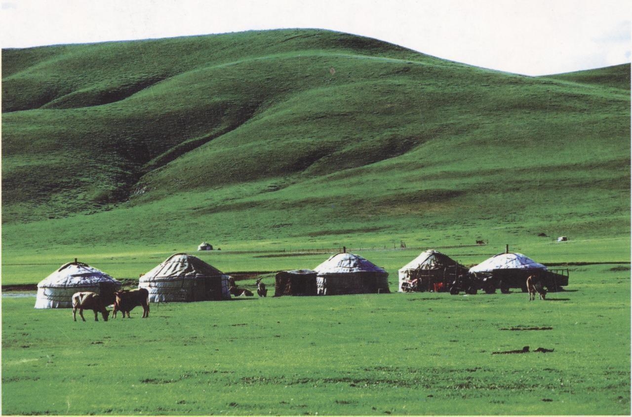 �¹���ԭ��������;�¹���ԭ������������Щ