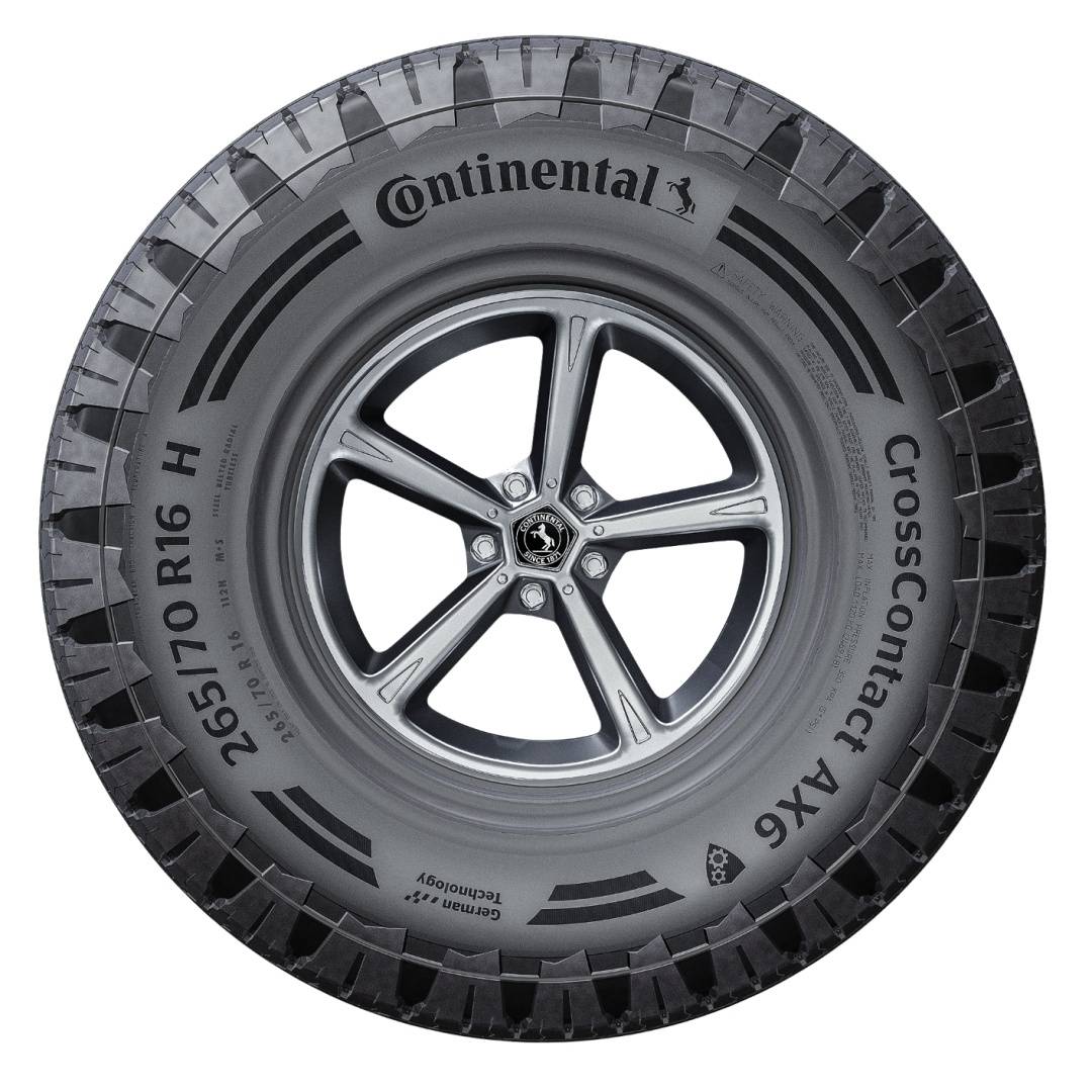 �¹�������̥cc6_�¹�������̥cc6����Ǯ